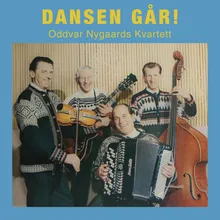 Dansen går - polka