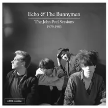 That Golden Smile John Peel Session