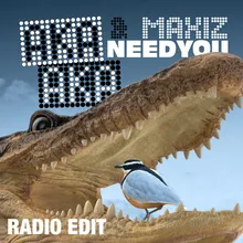 Need You Radio Edit