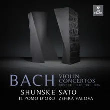 Bach, JS: Violin Concerto No. 1 in A Minor, BWV 1041: II. Andante