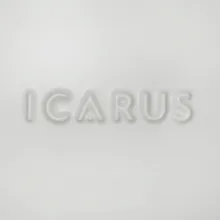 Flowers Icarus Soft Focus Mix