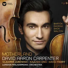 Dvorák / Arr. Vieland & Carpenter: Cello Concerto, Op. 104: I. Allegro