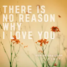 There Is No Reason Why I Love You (feat. Lydia)