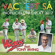 Vackert så (feat. Tony Irving) Inofficiell Pridelåt 2017