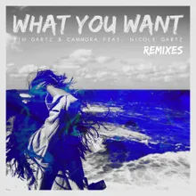 What You Want (feat. Nicole Gartz) Tim Gartz Club Edit