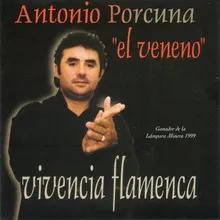 Suena flamenco (Fandangos de Alonso)