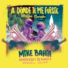 A Dónde Te Me Fuiste Versión Banda