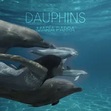 Dauphins