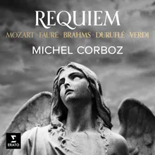 Ein deutsches Requiem, Op. 45: V. Ihr habt nun Traurigkeit