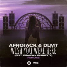 Wish You Were Here (feat. Brandyn Burnette) Dave Summit & CastNowski Remix