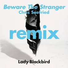 Beware The Stranger (Chris Seefried's Ambient Excursion) [feat. Trombone Shorty]