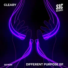 Different Purpose (Club Mix)