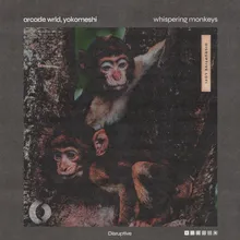 Whispering Monkeys