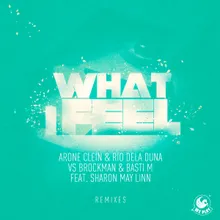 What I Feel (feat. Sharon May Linn) D.E.R., Sebastian Massianello, DJ Fist Remix
