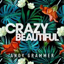 Crazy Beautiful