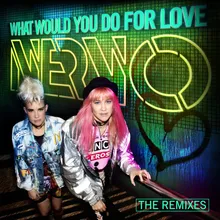 What Would You Do for Love Wasted Penguinz Remix