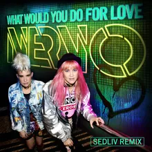 What Would You Do for Love Sedliv Remix