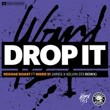 Drop It (feat. Ward 21) Aries & Kelvin 373 Remix