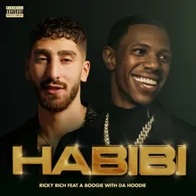 Habibi