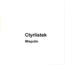 Mispulin Radio Edit