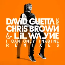 I Can Only Imagine (feat. Chris Brown & Lil Wayne) R3HAB Remix