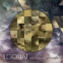 We Could Be Arsonists Damian Taylor Remix - Radio Edit