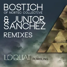 Rumbling Bostich of Nortec Collective Remix