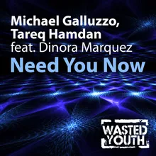 Need You Now (feat. Dinora Marquez) Dache & Shaw Mix