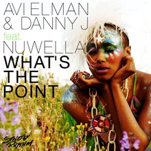 What's The Point (feat. Nuwella) Seamus Haji Radio Edit