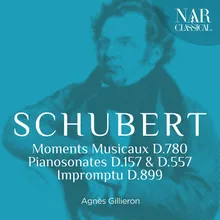 6 Moments musicaux, D. 780: No. 4 in C-Sharp Minor, Moderato