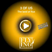 The Land of Flux Reconstruction Mix