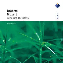 Clarinet Quintet in B Minor, Op. 115: II. Adagio