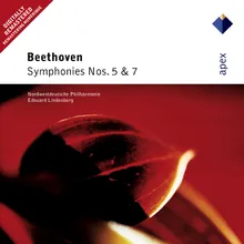 Symphony No. 5 in C Minor, Op. 67: II. Andante con moto