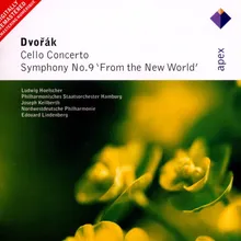 Symphony No. 9 in E Minor, Op. 95, B. 178 "From the New World": IV. Allegro con fuoco