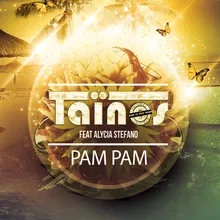 Pam pam (feat. Alycia Stefano)