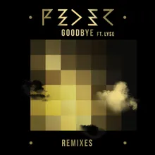 Goodbye (feat. Lyse) [Vijay and Sofia Zlatko Remix]