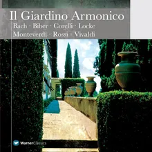 Vivaldi : Concerto in D minor for Viola d'Amore and Lute RV540 : I Allegro