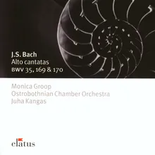 Bach, JS : Cantata BWV 35 : Geist und Seele wird verwirret - 2. Aria "Geist und Seele wird verwirret"