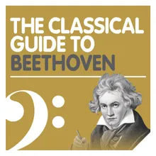 Symphony No. 9 in D Minor, Op. 125 "Choral": IV. Presto - "O Freunde, nicht diese Töne!" (Ode to Joy) [Excerpt]