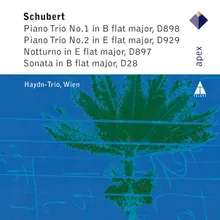 Schubert : Piano Trio in E flat major Op.100 : II Andante con moto