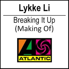 Breaking It Up Punks Jump up Remix