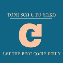Let The Beat Come Down DJ Eako Big Room Mix