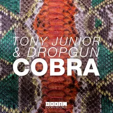 Cobra Radio Edit