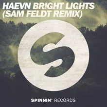 Bright Lights Sam Feldt Extended Remix