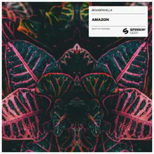 Amazon Extended Mix