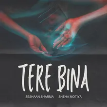 Tere Bina