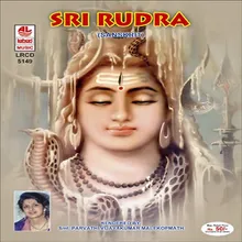 Rudra - Chamak