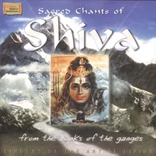 Shiva Manas Puja