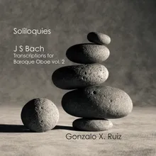 Suite in G minor after BWV 1013 - Sarabande (JS Bach)