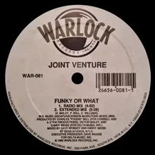 Funky or What-Radio Mix